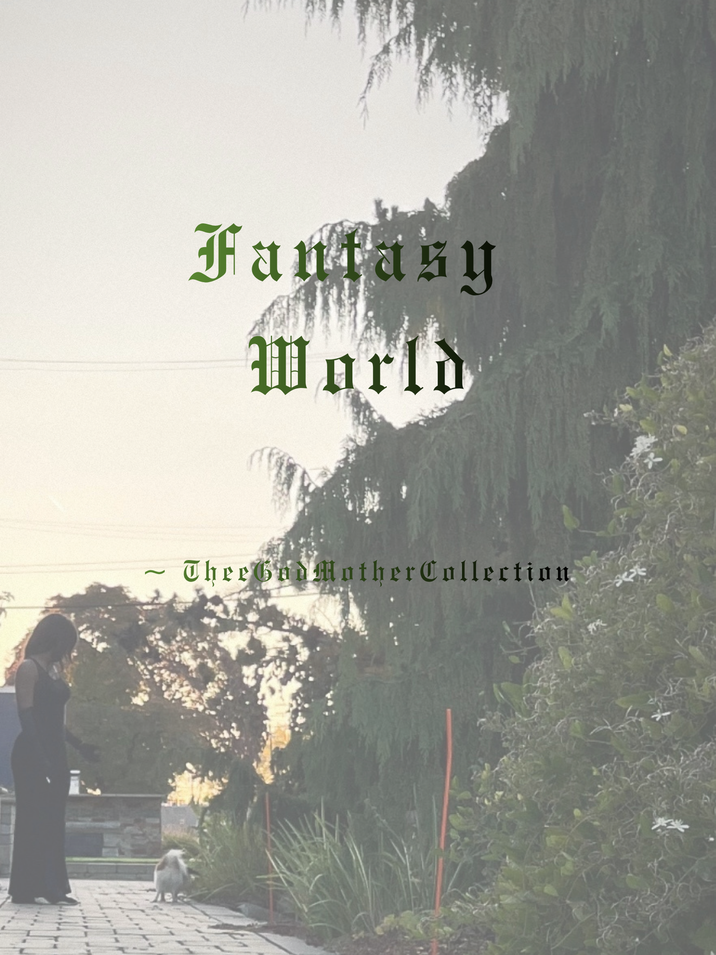 Fantasy World Book Bundle