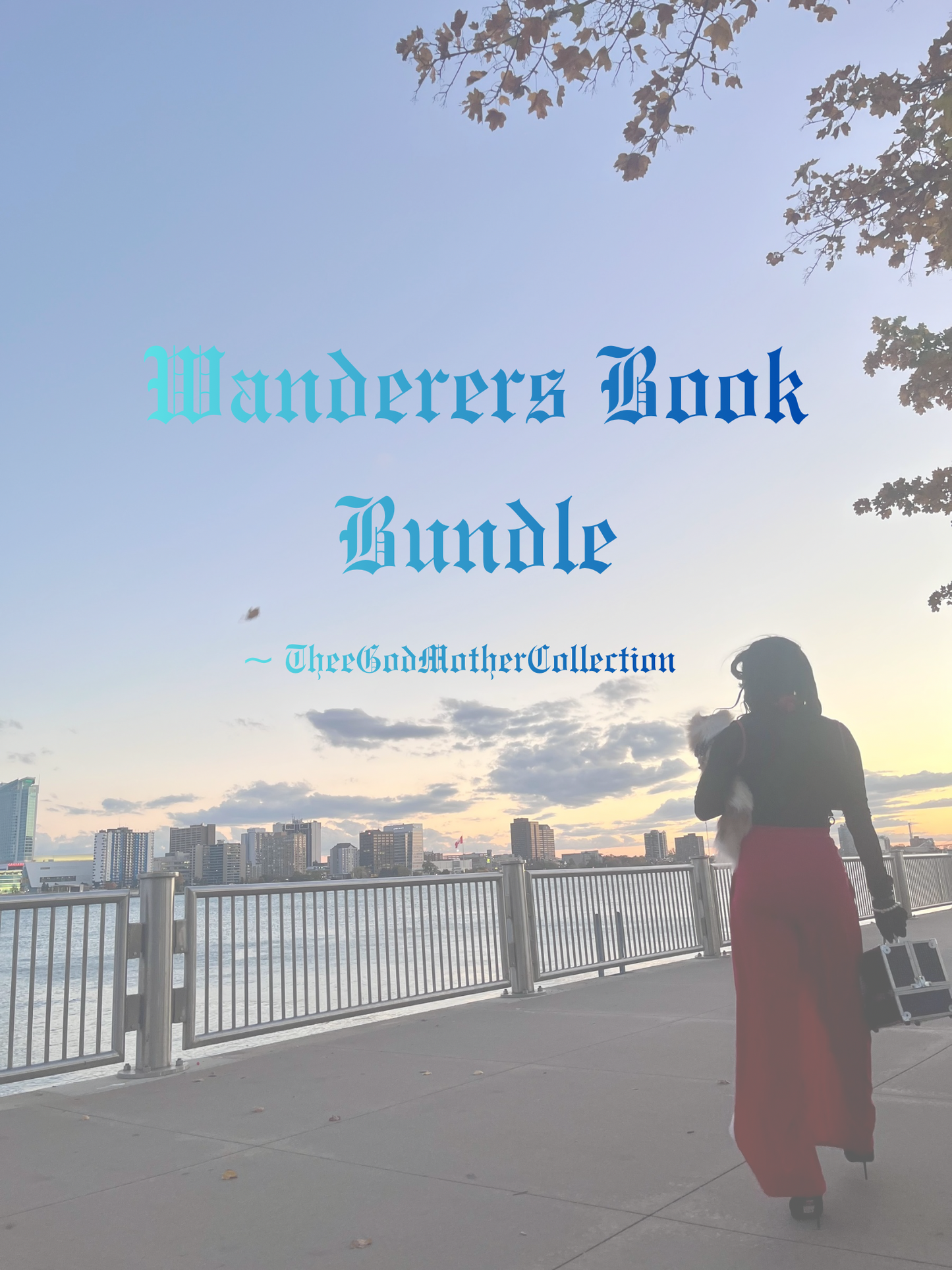 Wanderers Book Bundle